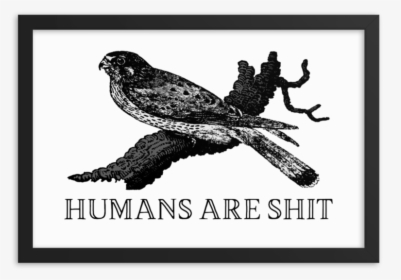 Humans Are Shit Framed Print   Srcset Data - Effin Birds, HD Png Download, Transparent PNG